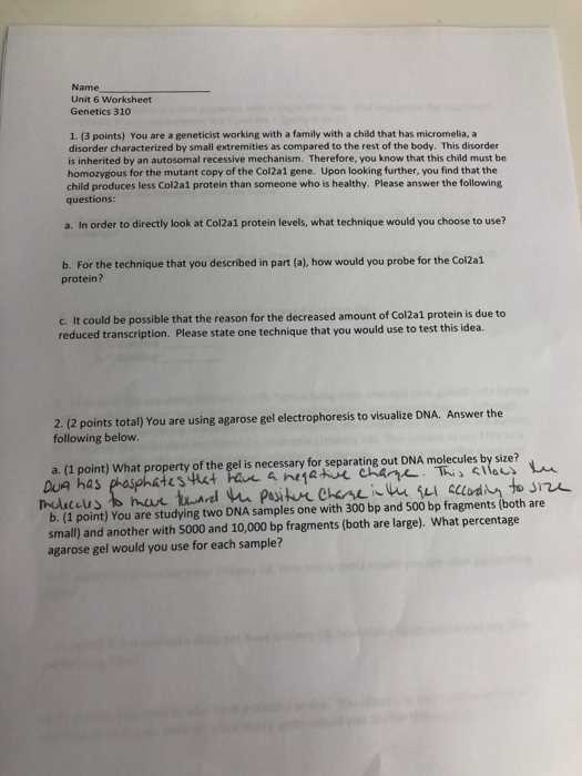 heredity unit test answer key