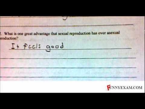how to find answers to any test how to find answers to any test