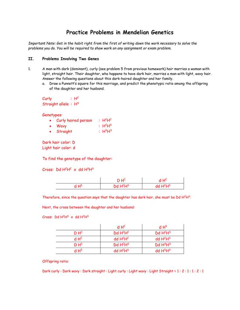 mendelian genetics test answers
