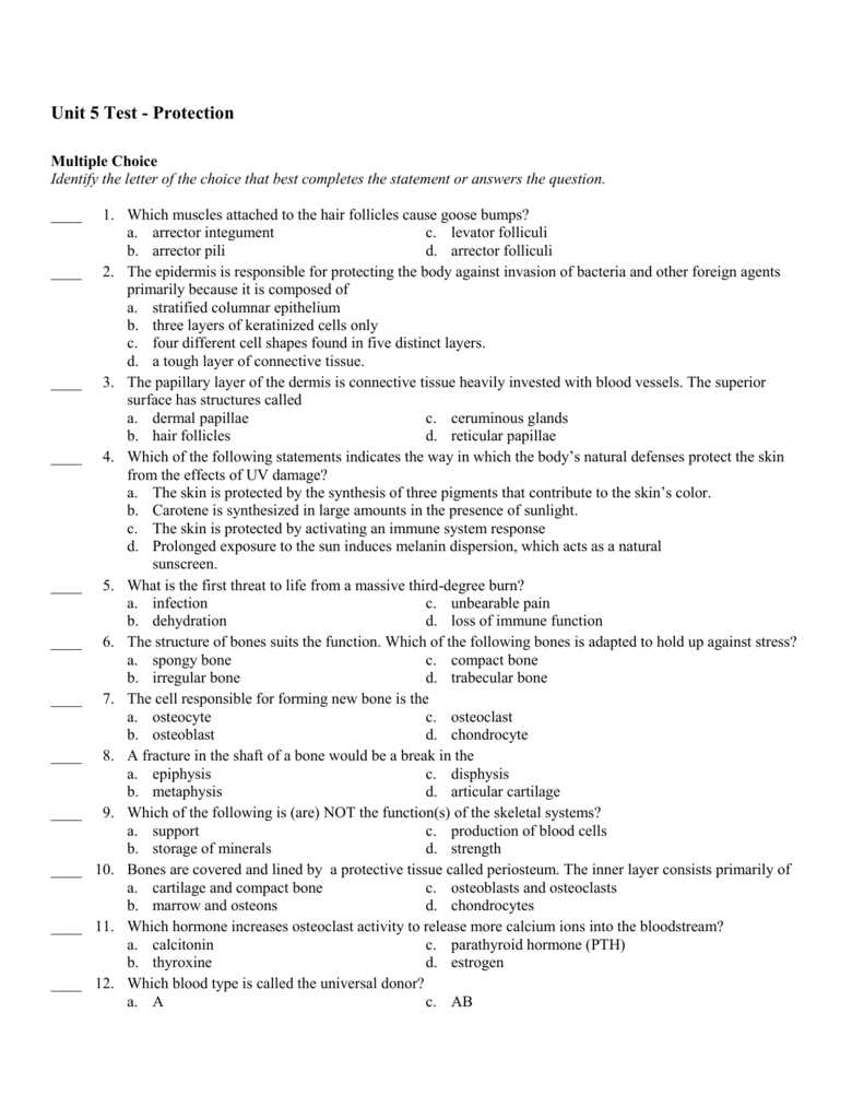 advance auto assessment test answers