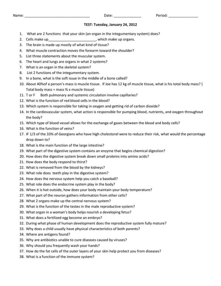human body systems test answers