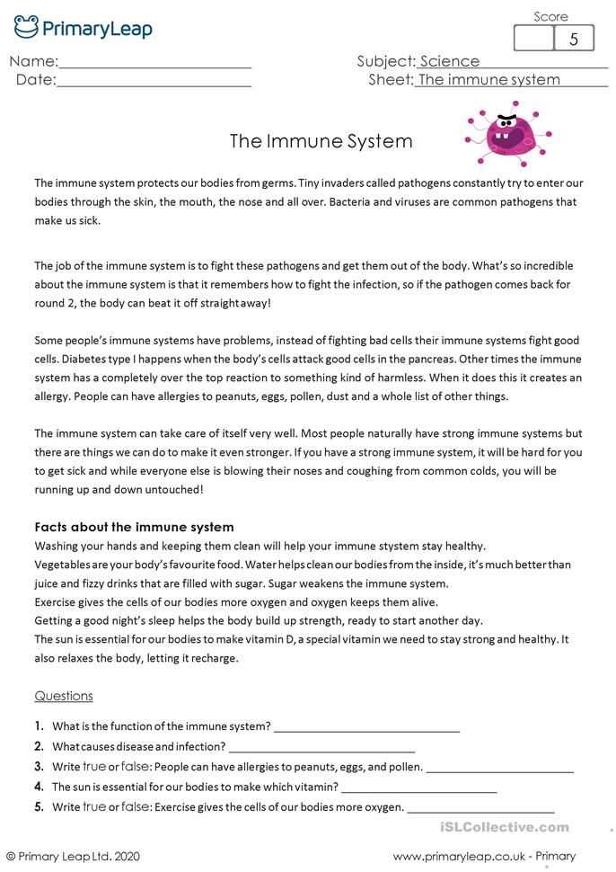 immune system test answers