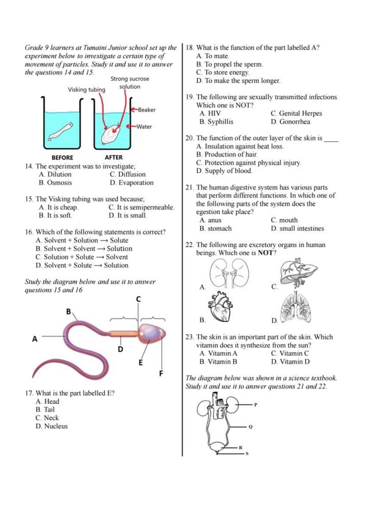 integrated science final exam answers