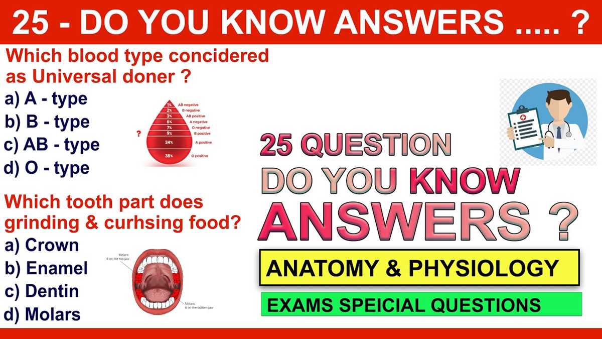 itec anatomy and physiology exam questions and answers