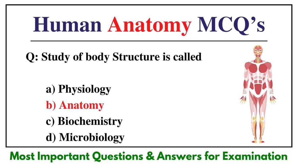 itec anatomy and physiology exam questions and answers