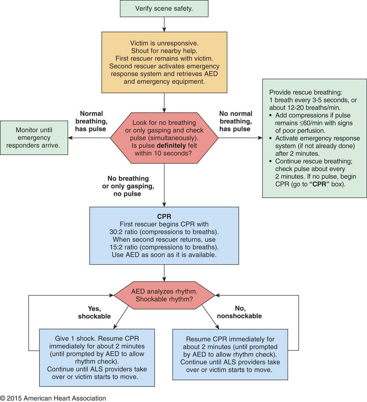 rqi cpr test answers