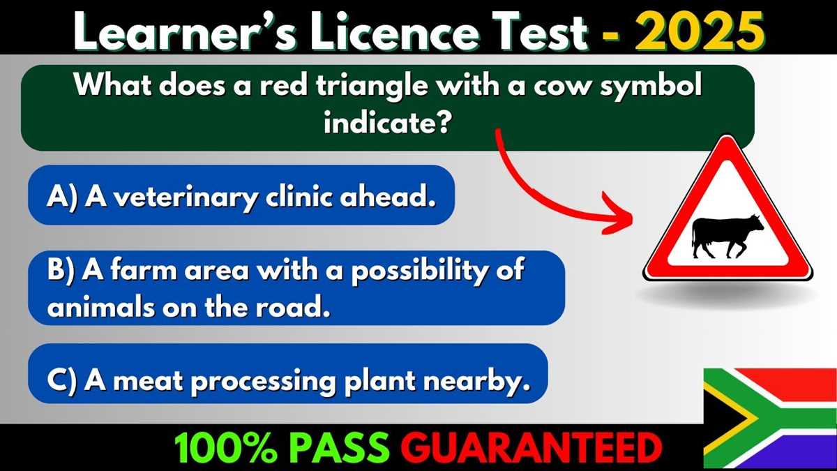 learners licence tests and answers