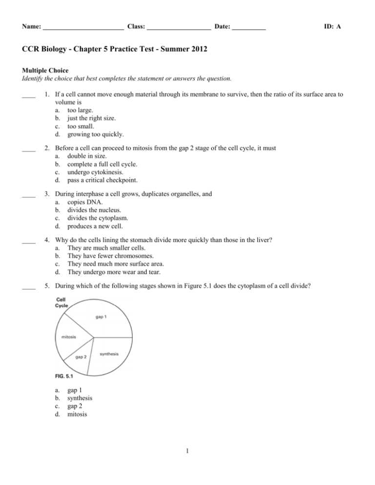 chapter 5 test answers