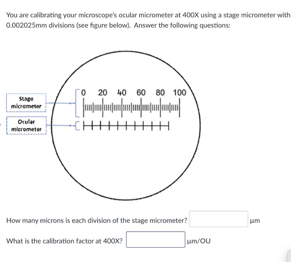 micrometer test answers