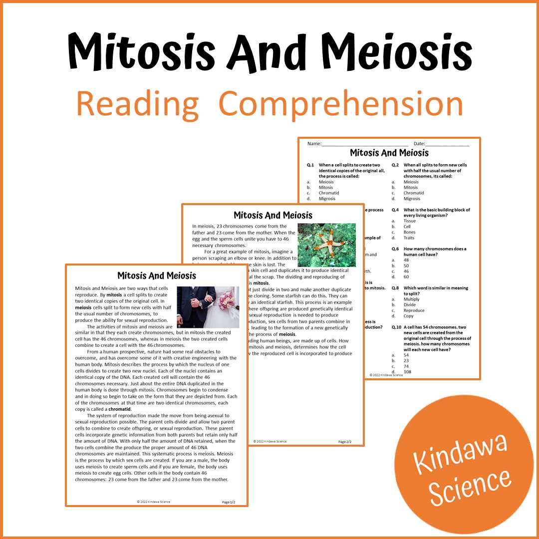 mitosis and meiosis test answer key