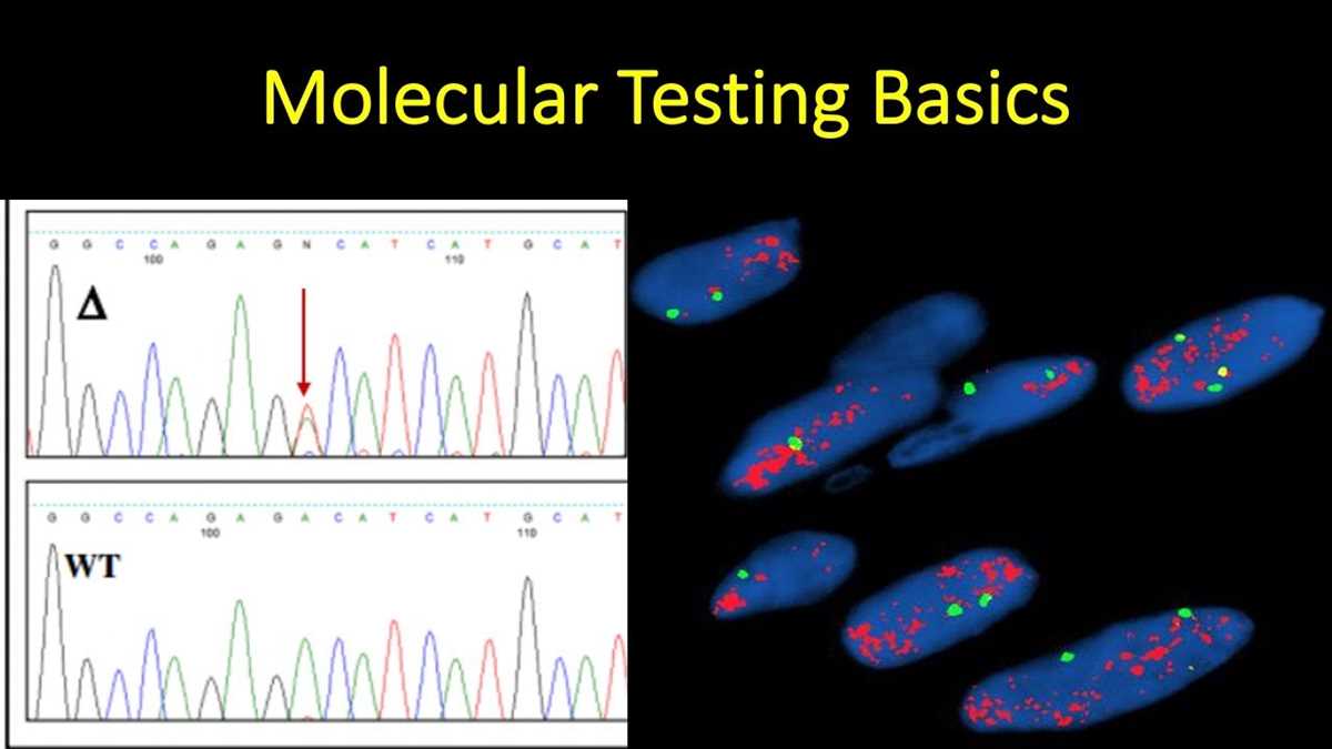 molecular genetics test answers