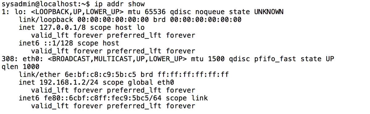 ndg linux essentials chapter 11 exam answers