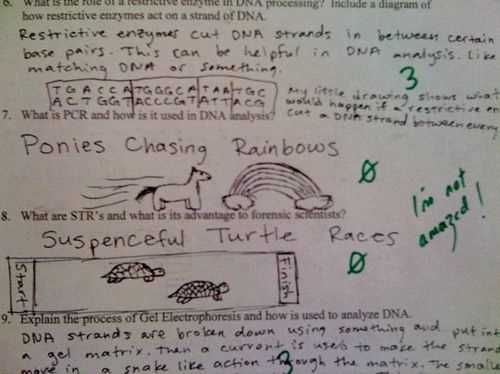 nfpt test answers