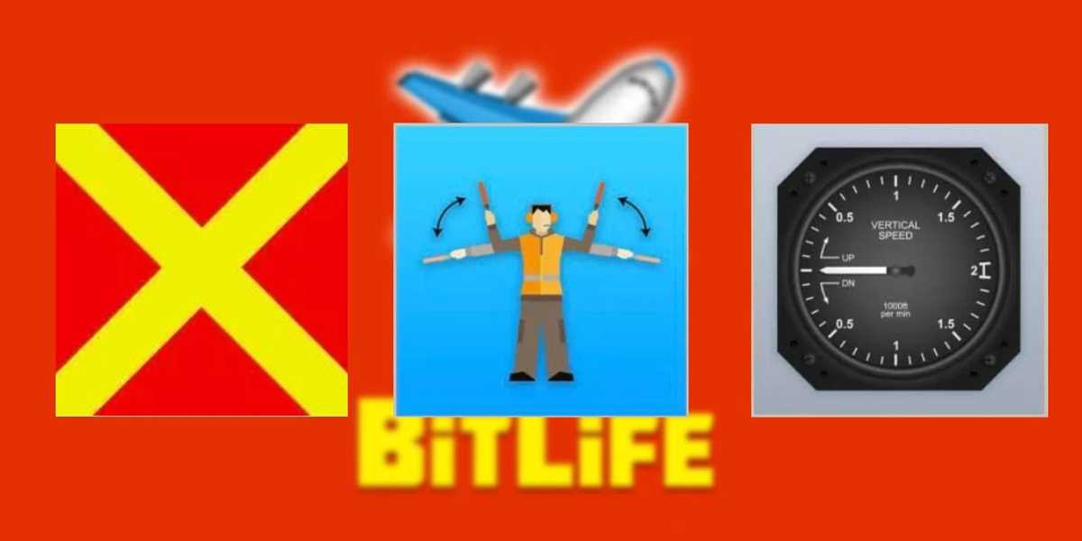 bitlife airplane test answers