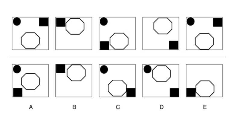 shl test answers cheat