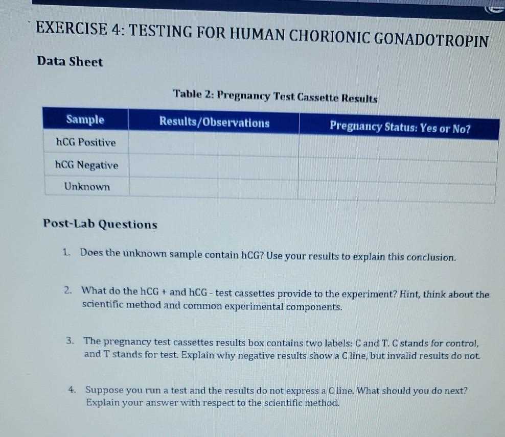 pregnancy test questions and answers