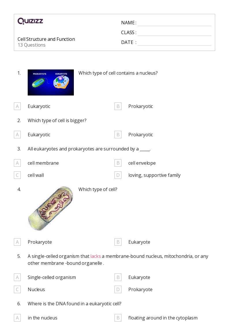 cell structure test prep pretest answers