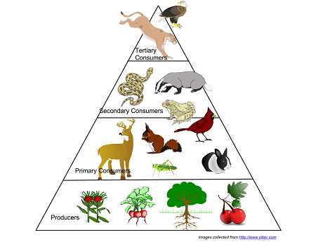 ap environmental science chapter 3 test answers