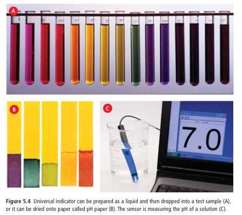acid base test kit 1 answers
