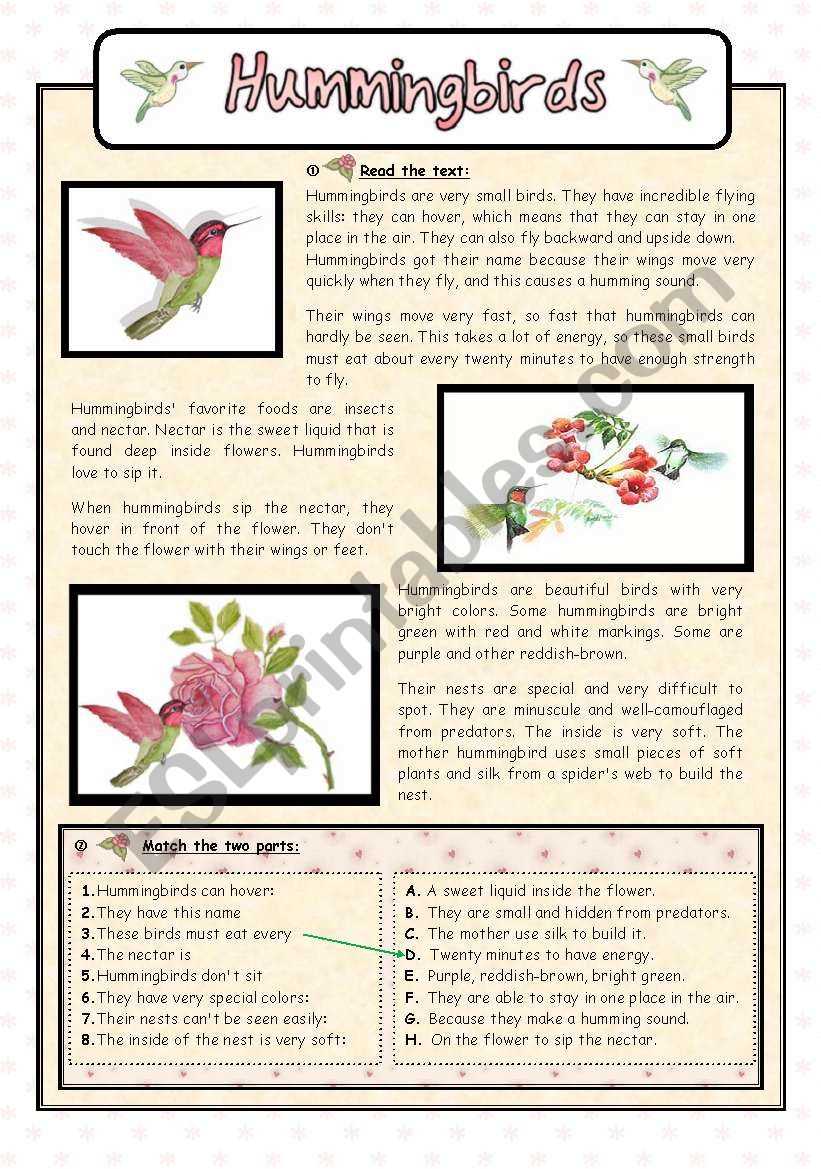 nonfiction reading comprehension test hummingbirds answer key