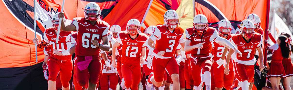 nfhs concussion in sports test answers