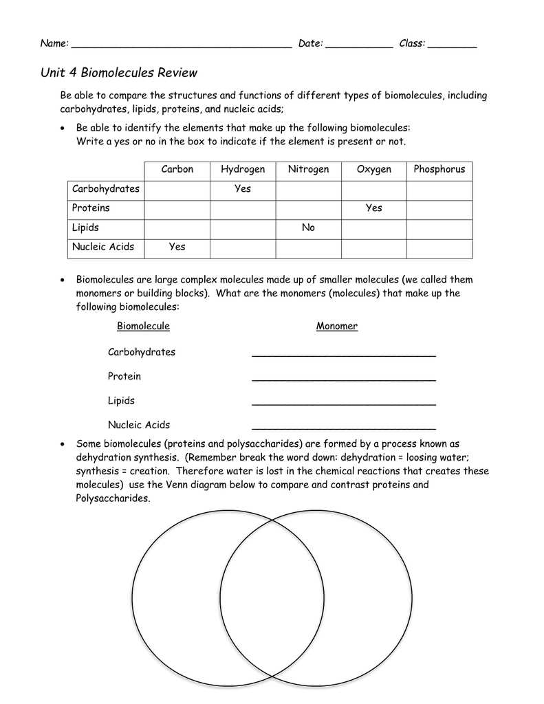 biomolecules and enzymes test review answers