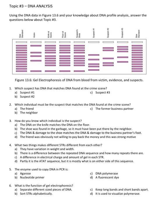 dna exam questions and answers