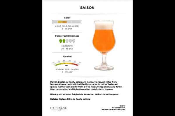 cicerone beer server test answers
