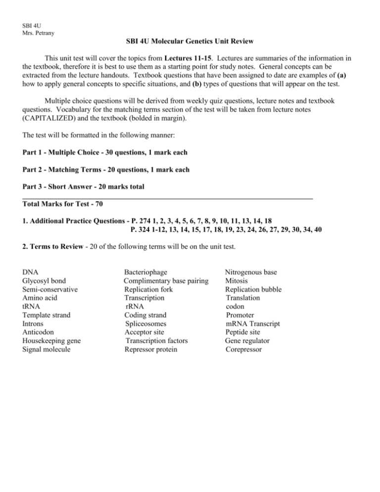 chapter 12 molecular genetics test answer key