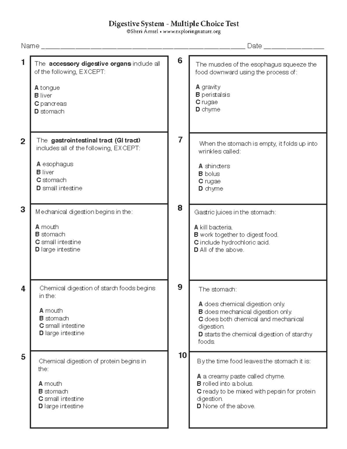 digestive system test answers